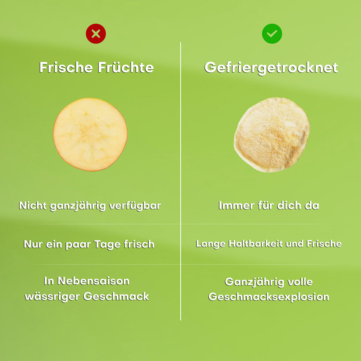 Gefriergetrocknete Äpfel 15g