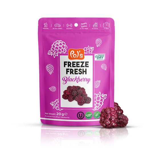 Gefriergetrocknete Brombeeren 20g