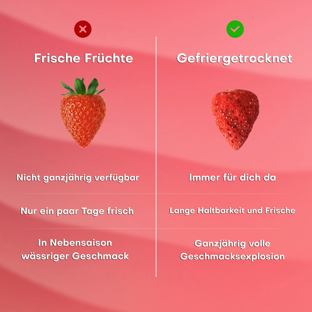 Gefriergetrocknete Erdbeeren 15g