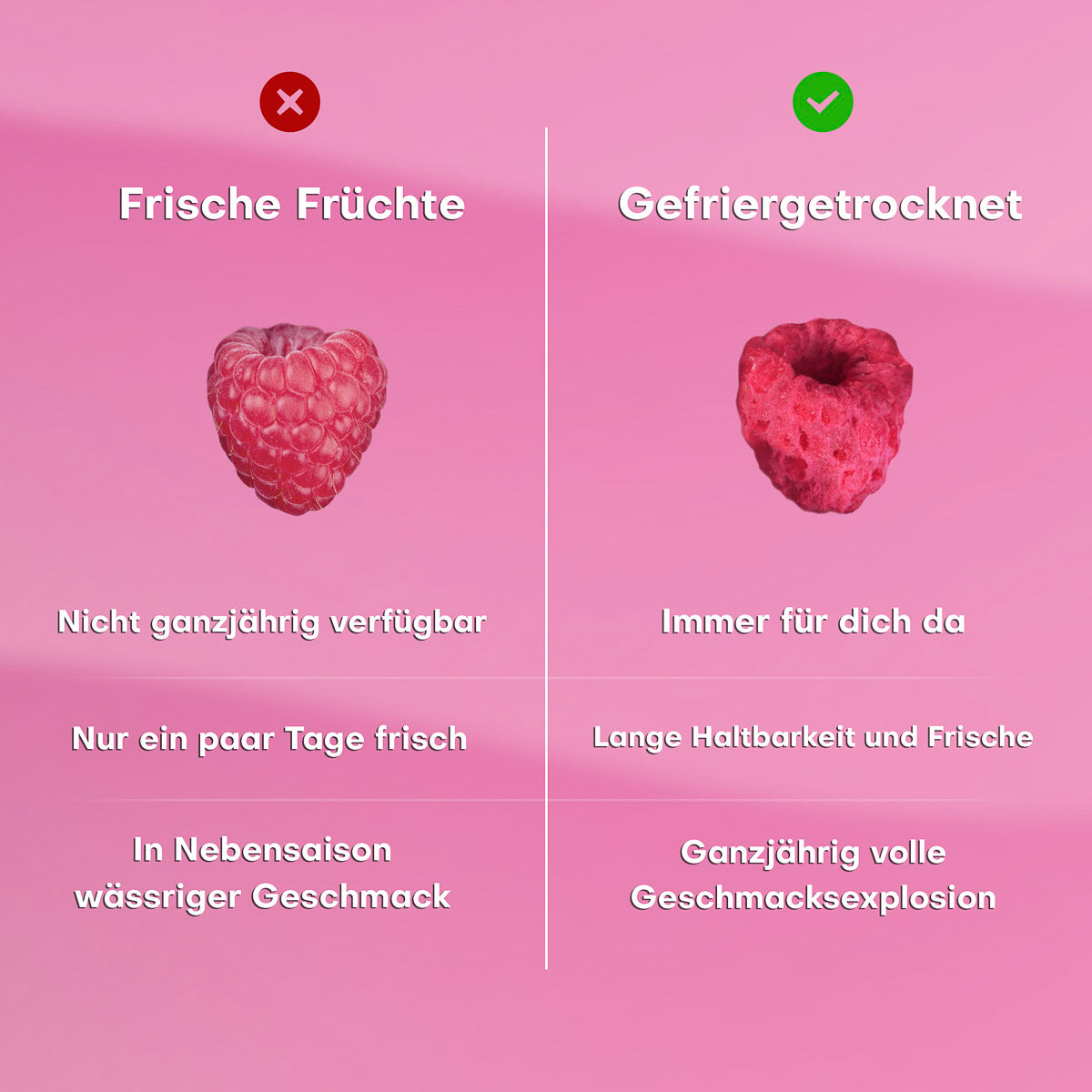 Gefriergetrocknete Himbeeren 20g