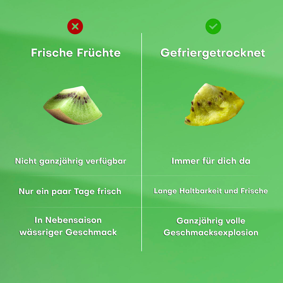 Gefriergetrocknete Kiwis 20g