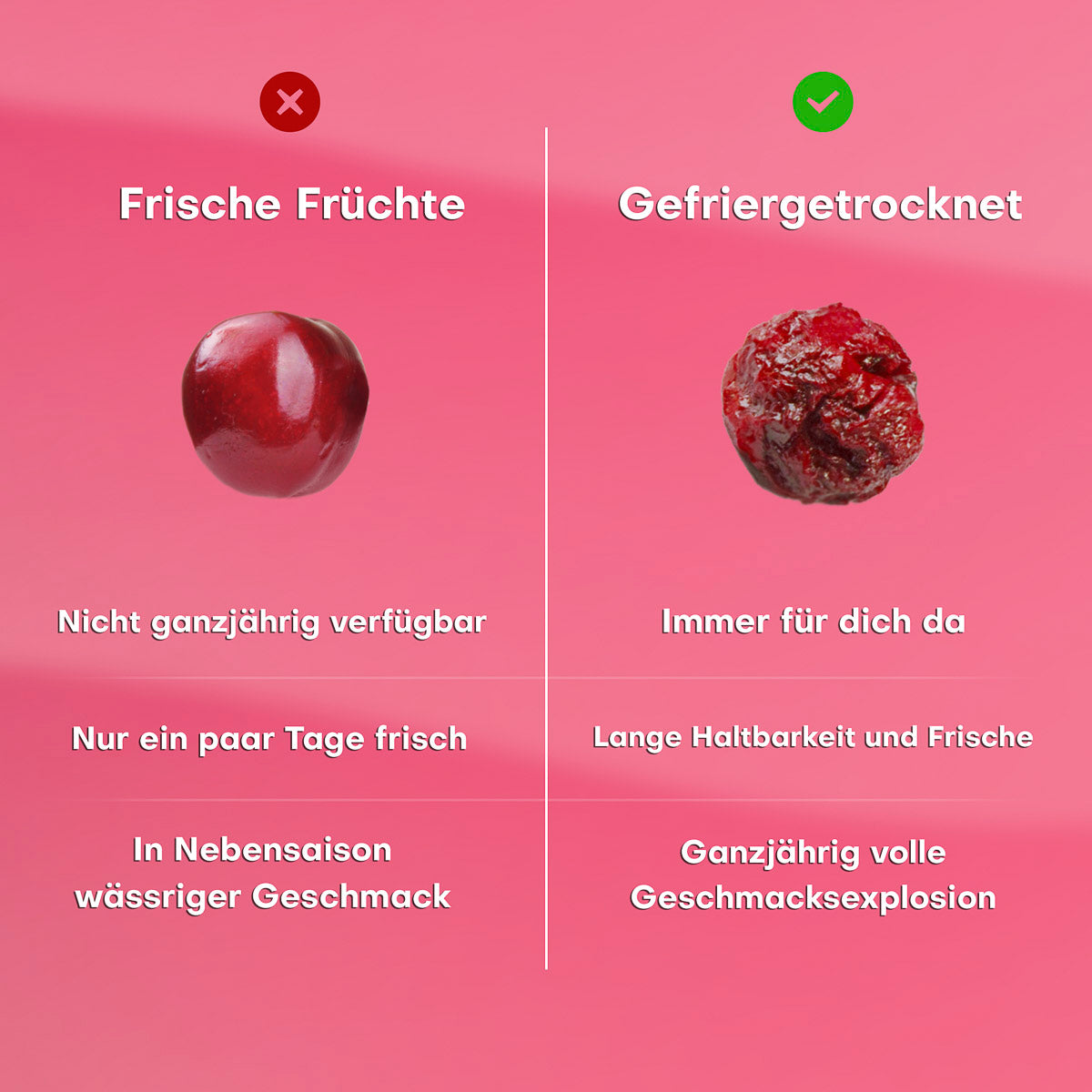 Gefriergetrocknete Sauerkirschen 25g